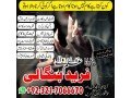 real-amil-baba-kala-jadu-specialist-in-canada-and-kala-ilam-specialist-in-uae-and-black-magic-specialist-in-usa-923217066670-no1-amil-baba-small-0