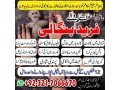 real-amil-baba-black-magic-specialist-in-dubai-and-kala-jadu-expert-in-uae-923217066670-no1-amil-baba-small-0