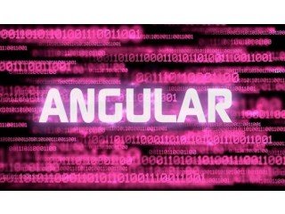 Top Angular JS Developers for Hire