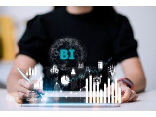 Expert Power BI Developer for Hire - Transform Your Data into Actionable Insights | Competitive Rates