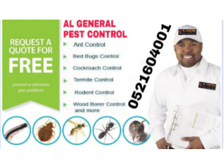 Pest Control in Dubai Emirate Emirates