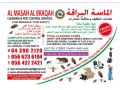 pest-control-in-dubai-emirate-emirates-small-0