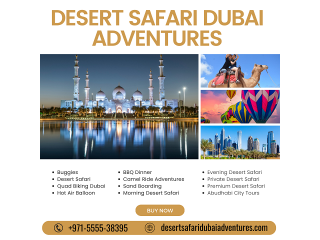 Private Desert Safari Dubai / +971555538395