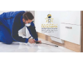 pest-control-in-sharjah-emirate-emirates-small-0