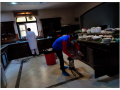 pest-control-in-dubai-emirate-emirates-small-1