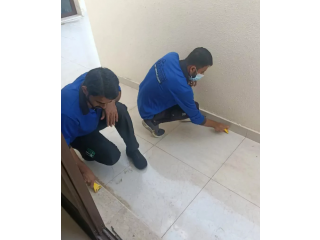 Cleaning Services in Abu Dhabi Emirates