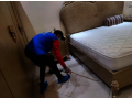 pest-control-in-dubai-emirate-emirates-small-0