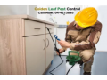 pest-control-in-dubai-emirate-emirates-small-1