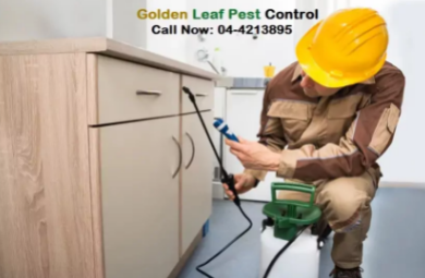 pest-control-in-dubai-emirate-emirates-big-1