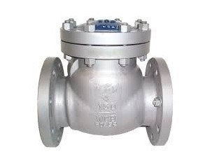 CHECK VALVES IN KOLKATA