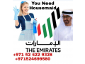 human-resources-in-dubai-emirate-emirates-small-0