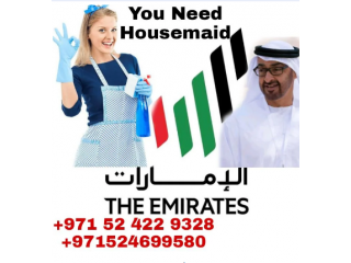 Human Resources in Dubai Emirate Emirates