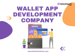 Affordable Customized Wallet App Development Services