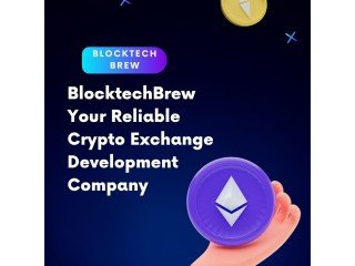 BlocktechBrew - Your Reliable Crypto Exchange Development Company