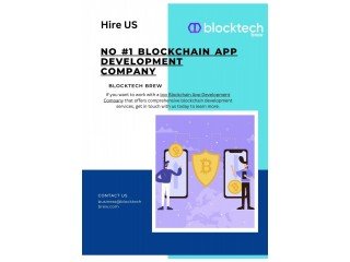 Well-Knowed  Blockchain Development Company - Blocktech Brew