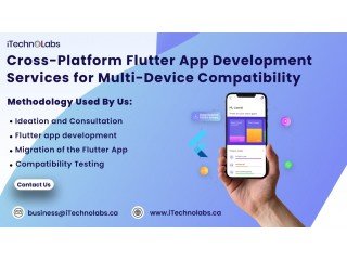 Custom Flutter App Development: Partnering with a Professional Company
