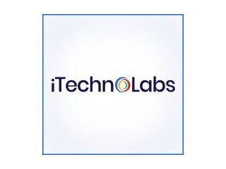 Customized  MVP Development Services - iTechnolabs