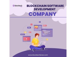 High Scale Blockchain Development Services by Blocktech Brew