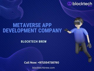 Leading Metaverse NFT Marketplace Development Company