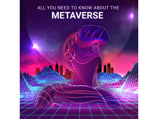 Looking For Professional Metaverse Development Services by Dedicated Metaverse Developers?