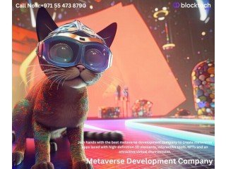 What are the Metaverse development services companies offer?