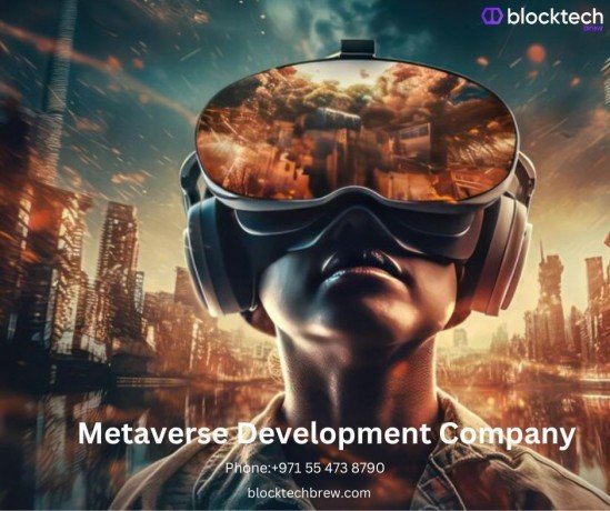 metaverse-nft-marketplace-development-company-blocktech-brew-big-0