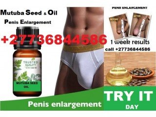 Penis Enlargement Herbal Oil +27736844586