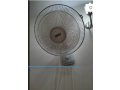 wall-fan-selex-brand-new-small-1