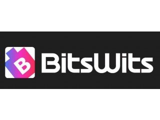 BitsWits