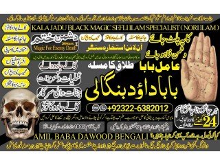 NO1 World black magic specialist baba ji love problem solution baba ji vashikaran specialist in pakistan +92322-6382012