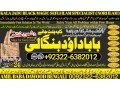 no1-usa-kala-jadu-expert-specialist-in-germany-kala-jadu-expert-specialist-in-saudia-arab-aamil-baba-taweez-online-amil-baba-92322-6382012-small-2