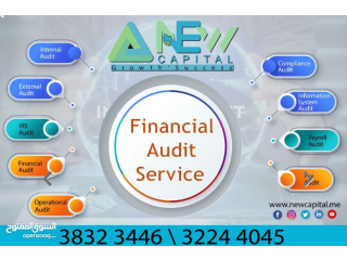 Auditing Services