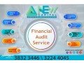 auditing-services-small-0