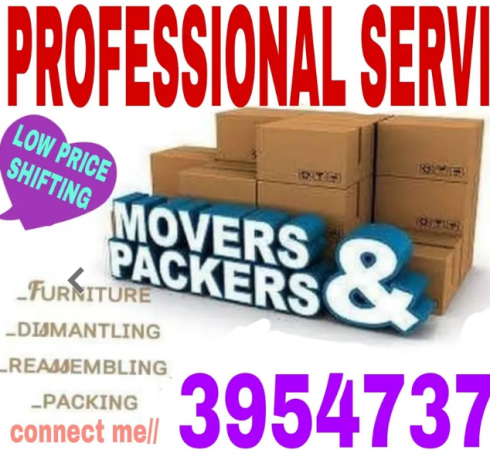 house-office-store-flat-salon-warehouse-moving-big-0