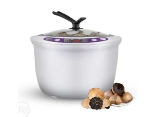 Black garlic maker